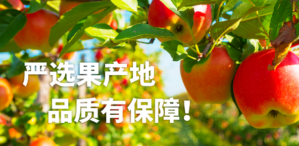 百果當道加盟