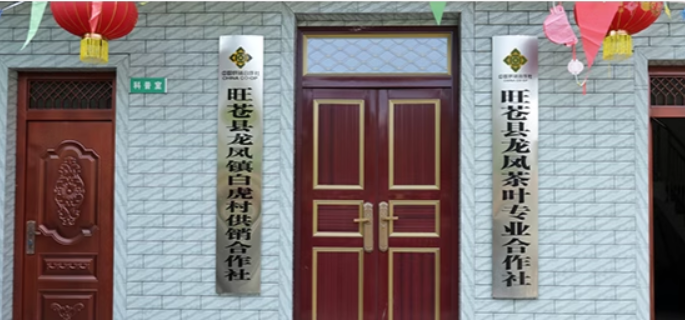 雙龍茶業(yè)加盟