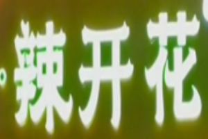 辣開花麻麻魚加盟