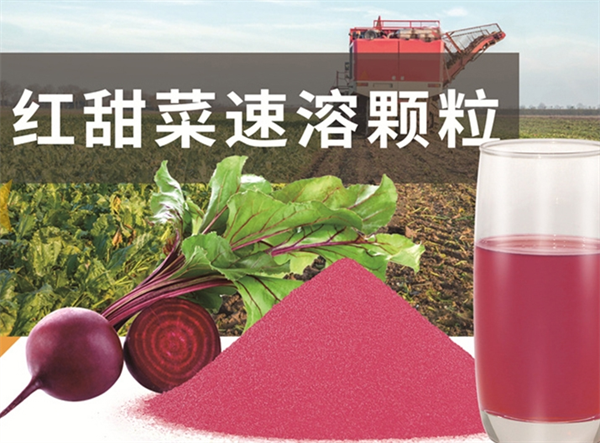素匯食品加盟