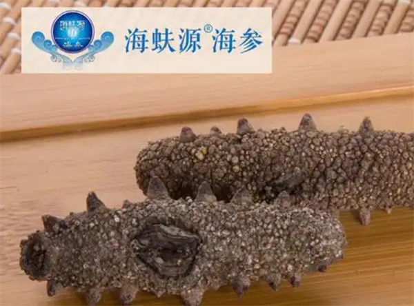 海蚨源海參加盟