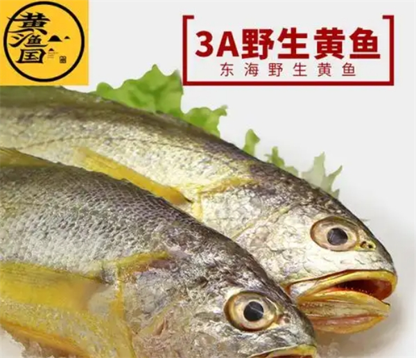 黃漁國水產食品加盟