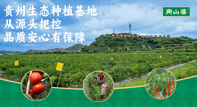 南山婆酸湯粉加盟