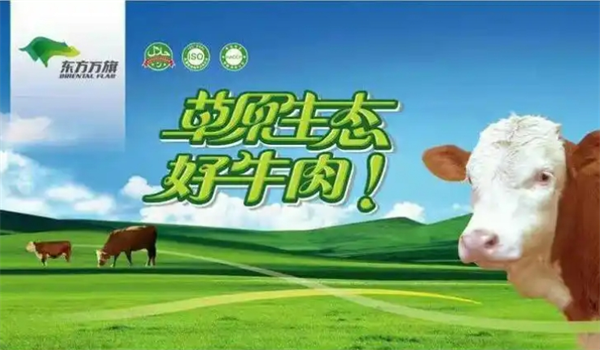 東方萬(wàn)旗肉牛加盟