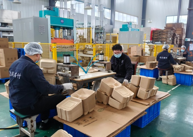 小型竹纖維廠投資多少錢？從設備到運營的全流程測算