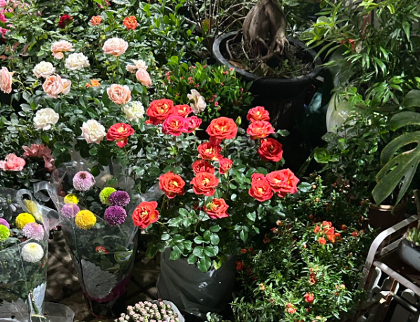 上海開花店一般要投資多少錢？全流程成本解析與實戰指南