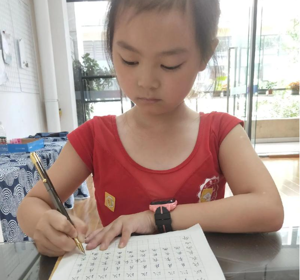 上海開上海寫字培訓班店要多少錢？成本解析與運營策略