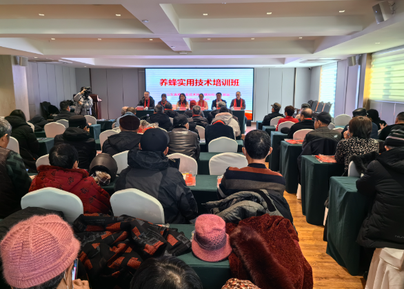 上海開技術培訓班賺錢嗎？機遇與挑戰并存的財富密碼