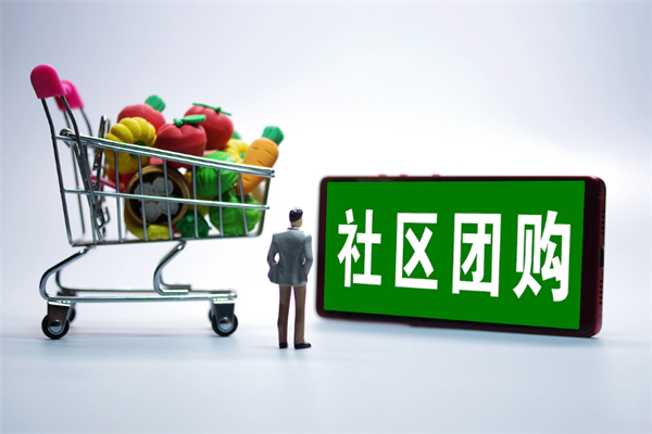 萊西團(tuán)團(tuán)團(tuán)團(tuán)購