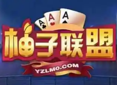 柚子聯(lián)盟游戲加盟
