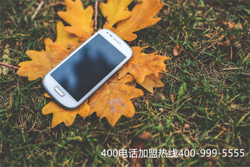 (400電話(huà)多少錢(qián)一年,400電話(huà)資費(fèi)價(jià)格)(開(kāi)通一個(gè)400電話(huà)需要多少錢(qián)？)