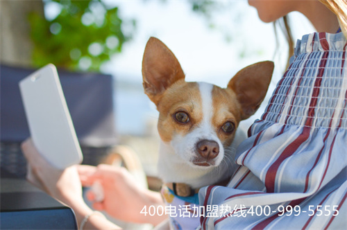 (400電話號碼全國免費嗎)(400電話號碼大全免費)