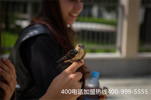 (400電話對企業的好處)(企業申請400電話可以獲得哪些優勢？)