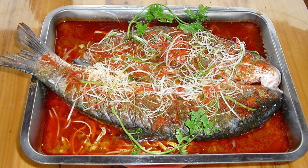 塔庫(kù)烤魚加盟