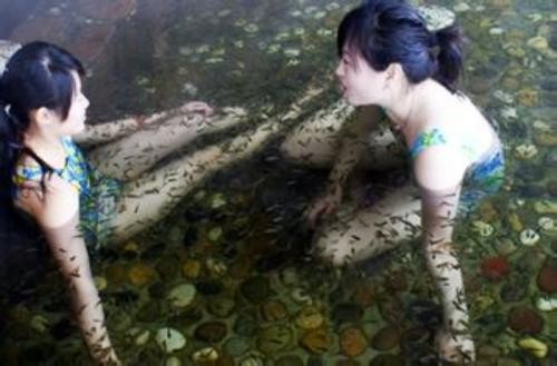 卡哇魚休閑養生館加盟