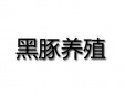 黑豚養殖加盟
