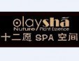 歐韻婭詩十二愿SPA加盟